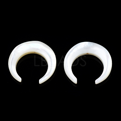 Natural White Shell Beads SSHEL-N034-122A-03-1