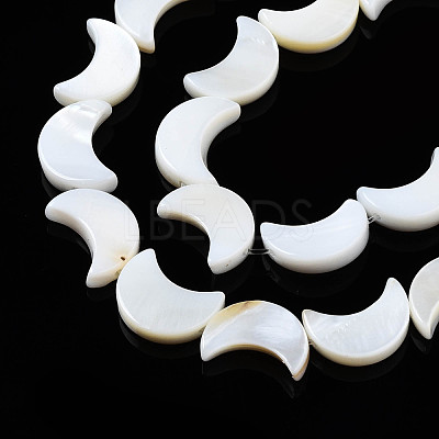 Natural Freshwater Shell Beads Strands SHEL-Q024-015B-1