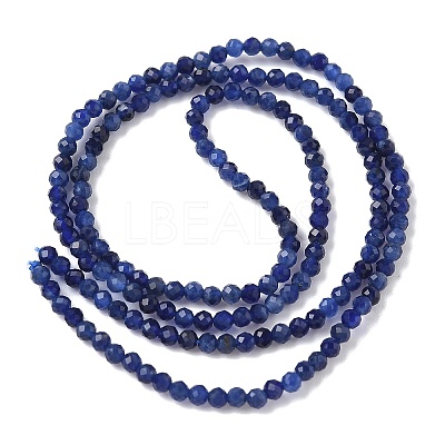 Natural Sodalite Beads Strands G-D306-A01-2mm-A-1