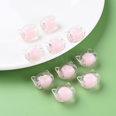 Transparent Acrylic Beads MACR-S373-115-B-1