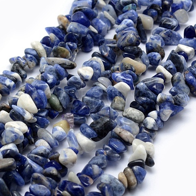 Natural Sodalite Beads Strands G-P332-21-1