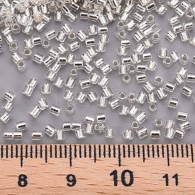 Glass Bugle Beads SEED-S032-08A-21-1