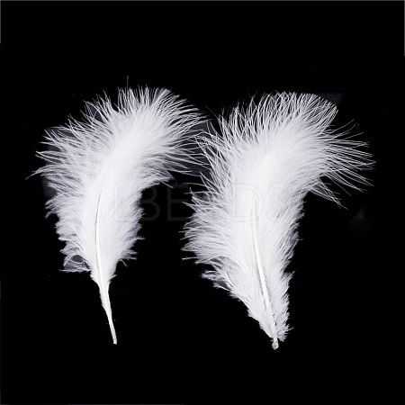 Fashion Feather Costume Accessories FIND-Q040-04S-1