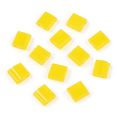 2-Hole Glass Seed Beads SEED-T003-01C-11-1