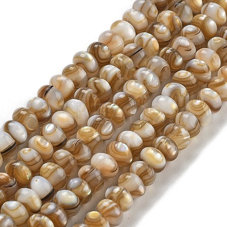 Natural Freshwater Shell Beads Strands X-BSHE-G038-05-1