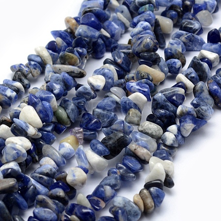 Natural Sodalite Beads Strands G-P332-21-1