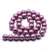 Polished Round Grade A Shell Pearl Bead Strands LS-BSHE-M027-6mm-11-3