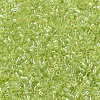 MIYUKI Delica Beads Small X-SEED-J020-DBS0174-3