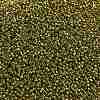 TOHO Round Seed Beads SEED-JPTR11-0991-2