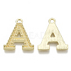Alloy Pendants PALLOY-N157-002A-NR-3