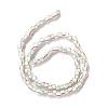 Handmade Lampwork Beads Strands BLOW-K001-01B-12-3