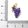 Fruit Theme Alloy Enamel Pendants PALLOY-P314-01B-G-3