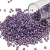 TOHO 8/0 Round Beads SEED-TR08-2124-1