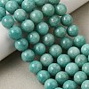 Natural Amazonite Bead Strands G-P204-02-10mm-7