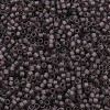MIYUKI Delica Beads X-SEED-J020-DB2405-2
