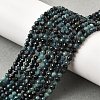 Natural Blue Tourmaline Beads Strands G-G259-D10-3mm-1