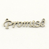 Tarnish Resistant Fashionable Stainless Steel Word Charms LS-STAS-R059-40-1