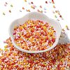 Baking Paint Glass Seed Beads SEED-S042-05A-07-2