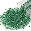 TOHO Round Seed Beads X-SEED-TR08-0343-1