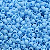 TOHO 6/0 Round Beads SEED-TR06-0403F-4