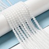 Imitate Austrian Crystal Frosted Glass Beads Strands EGLA-A039-T4mm-MD13-4