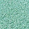 MIYUKI Delica Beads SEED-JP0008-DB1707-3
