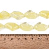 Handmade Lampwork Beads Strands LA-N046-02N-4