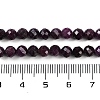 Natural Ruby Beads Strands G-P553-G01-04-6