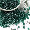 FGB 6/0 Grade A Round Glass Seed Beads SEED-Q011-4mm-F520-1