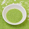 MIYUKI Delica Beads SEED-X0054-DB0763-2