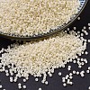 MIYUKI Delica Beads SEED-MY11-DB0762-1