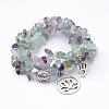 Natural Fluorite Stretch Bracelet Sets BJEW-JB02621-1