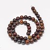 Natural Red Tiger Iron Round Bead Strands G-P075-22-10mm-2