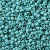 TOHO Round Seed Beads SEED-JPTR08-0413F-2