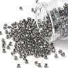 TOHO 6/0 Round Beads SEED-TR06-0266-1