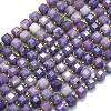 Natural Lepidolite/Purple Mica Stone Beads Strands G-K389-A32-01-1