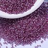MIYUKI Delica Beads X-SEED-J020-DB2156-1