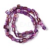 Dyed Natural Freshwater Shell Beads Strands X-SHEL-P016-01D-2
