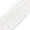 Electroplate Glass Beads Strands EGLA-A034-J10mm-L08-1