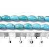 Natural Howlite Beads Strands G-H025-02B-5
