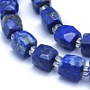 Natural Lapis Lazuli Beads Strands G-L552D-03A-2