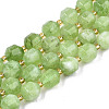 Natural Dolomite Beads Strands G-T131-85B-12-1