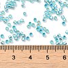 Glass Seed Beads X-SEED-S042-04B-23-4