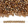 TOHO 6/0 Round Beads X-SEED-TR06-0268-4
