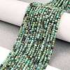 Natural African Turquoise(Jasper) Beads Strands X-G-A02-02-2
