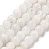 Round Grade A Natural Rainbow Moonstone Bead Strands G-M304-06-5mm-2