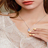 20Pcs Alloy Pendants ZIRC-LP0001-11P-3