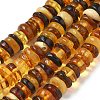 Natural Amber Beads Strands G-K387-C01-01-2
