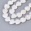 Electroplate Natural Shell Beads Strands X-BSHE-Q034-003D-3