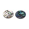 Natural Paua Shell Beads SSHEL-N040-20B-2